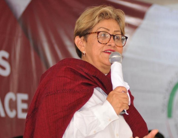 MORENA-edomex.jpeg