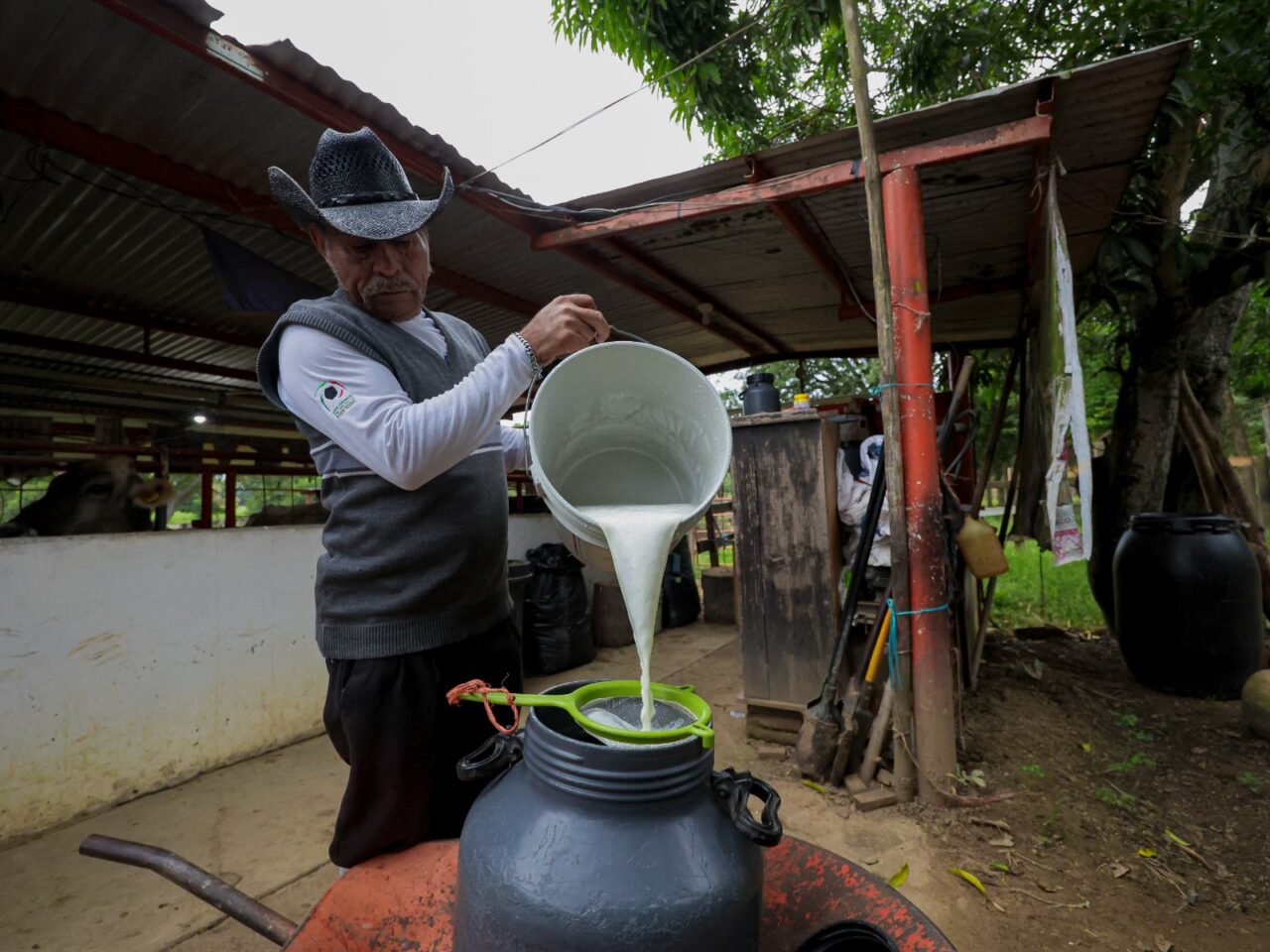 Leche en México 2