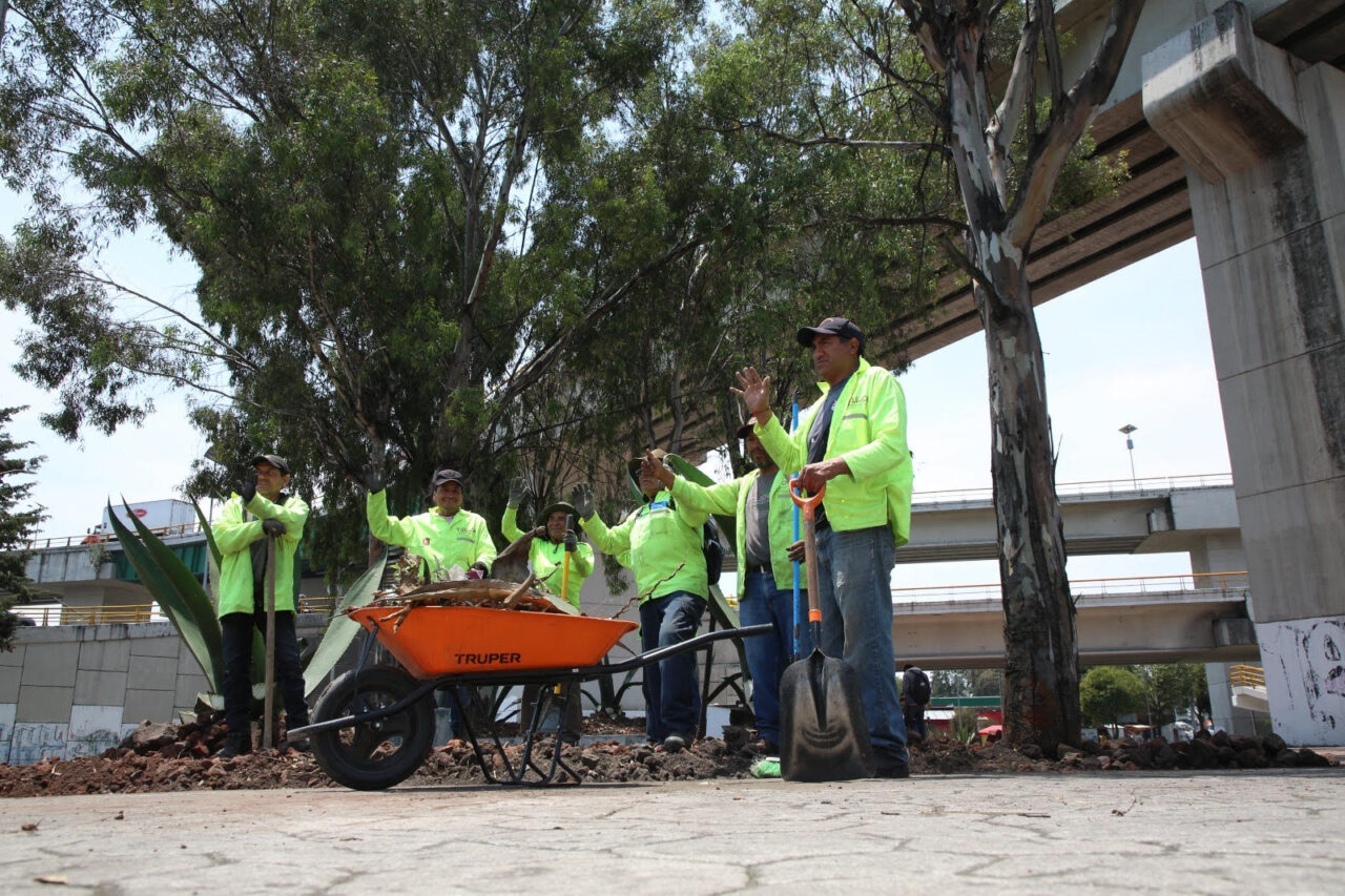 TOLUCA-1-1280x853.jpg