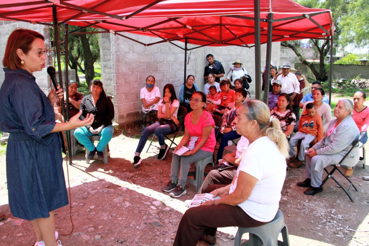LEGIS azucena