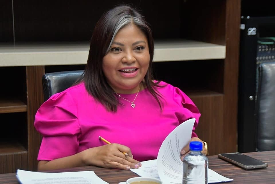 LEGIS-ninez-2.jpeg