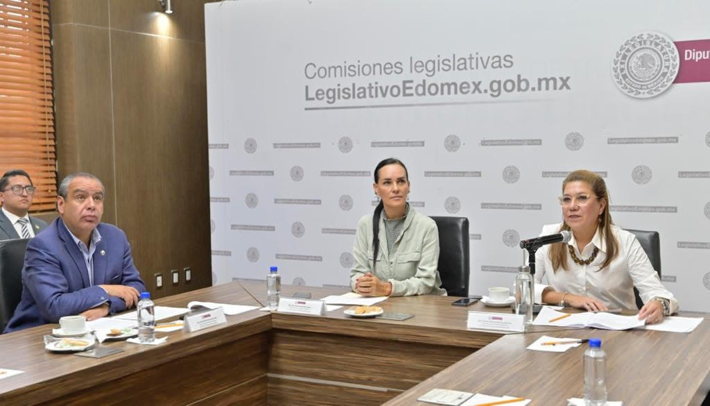 LEGIS paridad