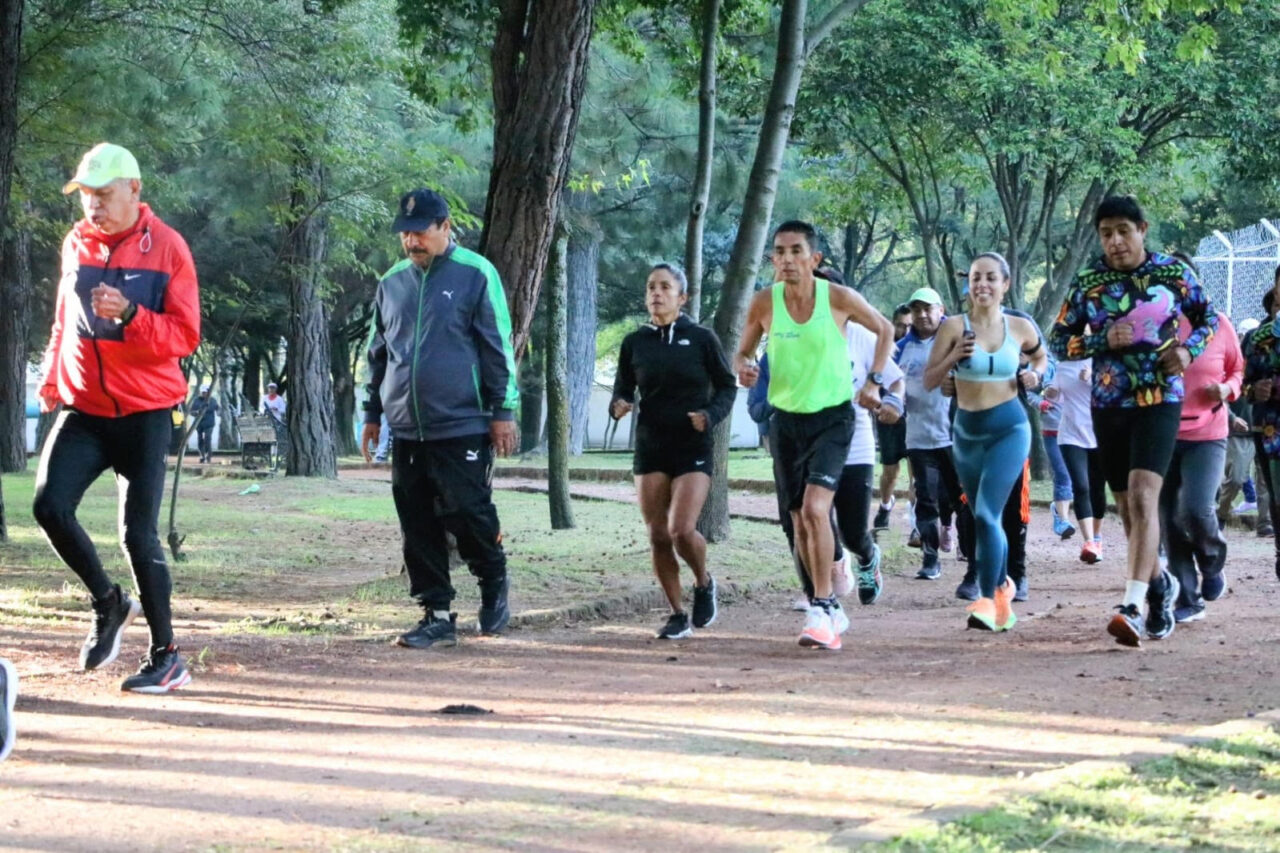 TOLUCA 1