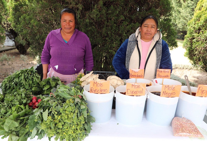 CAMPO mujeres 1