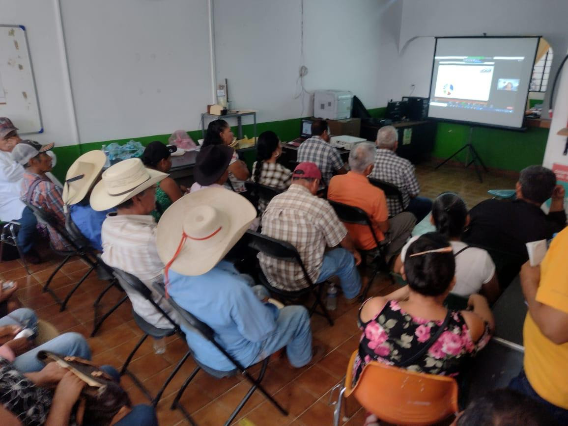 CAMPO 4