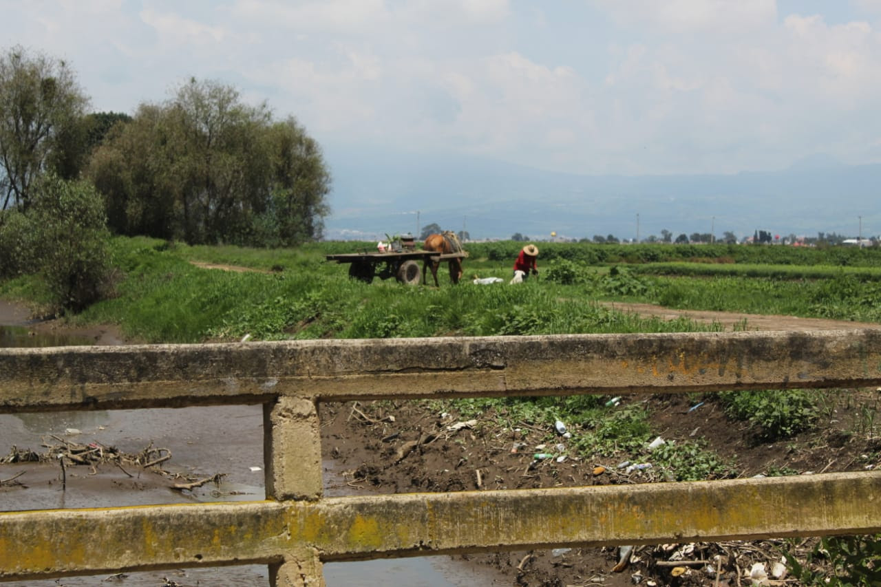 CHALCO campesinos 2