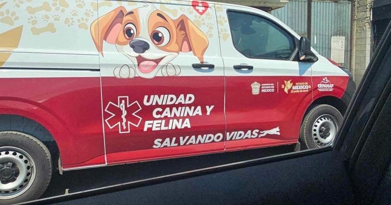 MEXICALCINGO-perros-2.jpg