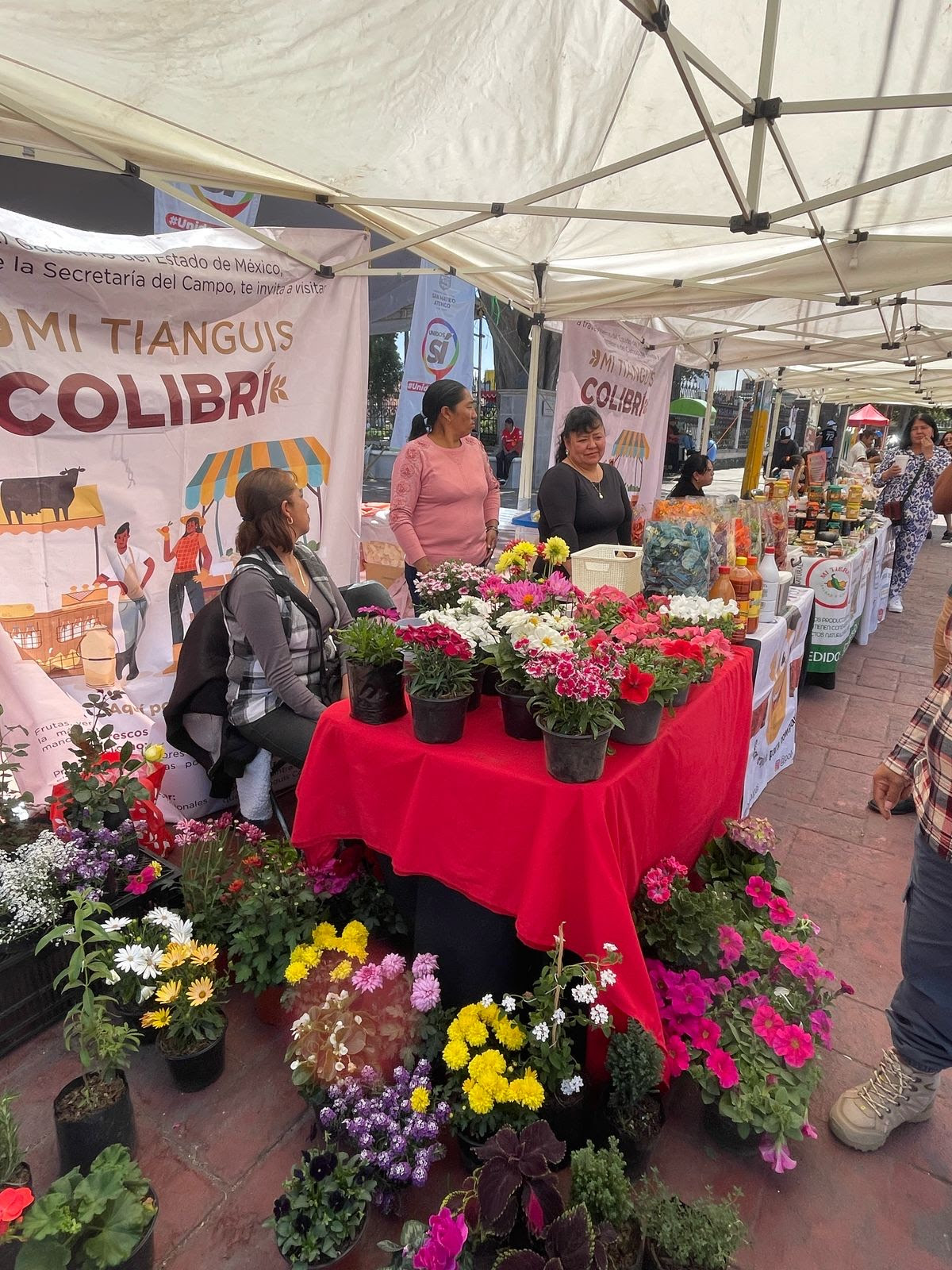 Tianguis-Colibri-01.jpg