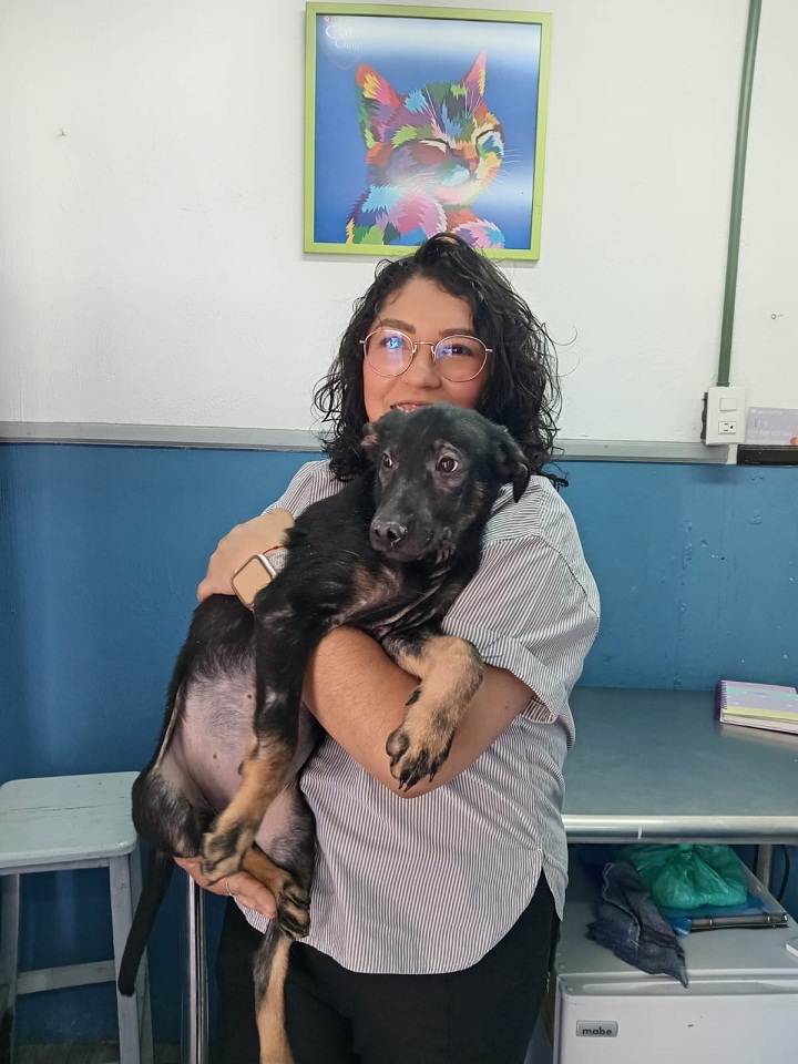 Adopcion-EDOMEX-1.jpg