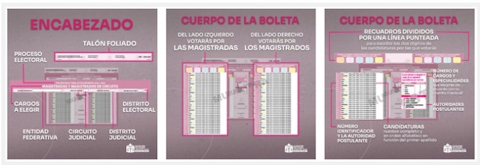 Elección Judicial 01