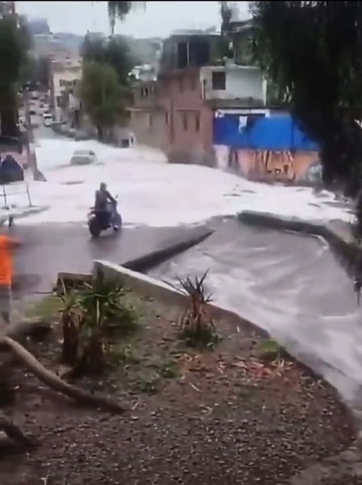 NAUCALPAN confuden graniso 2