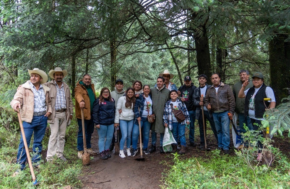 VERDE edomex 02