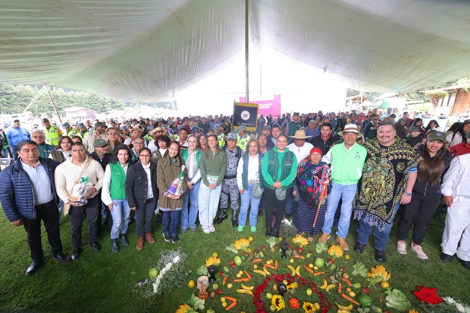 VERDE edomex 4
