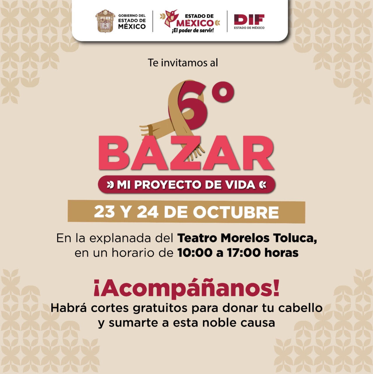 DIF Edomex