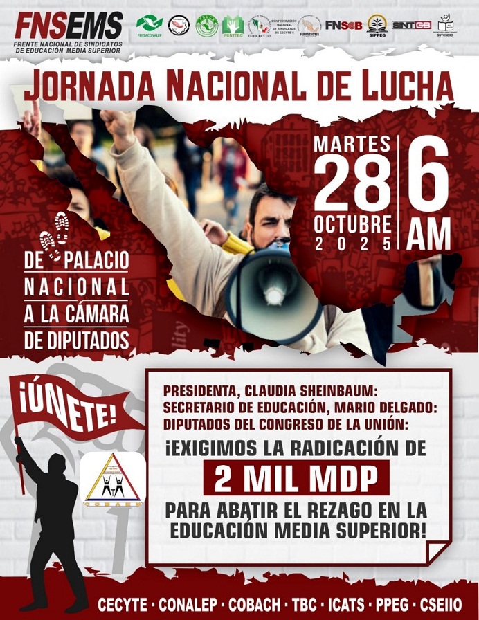 JORNADA lucha
