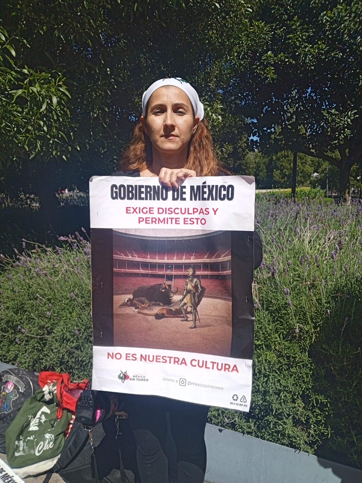 PROTESTA toros 2