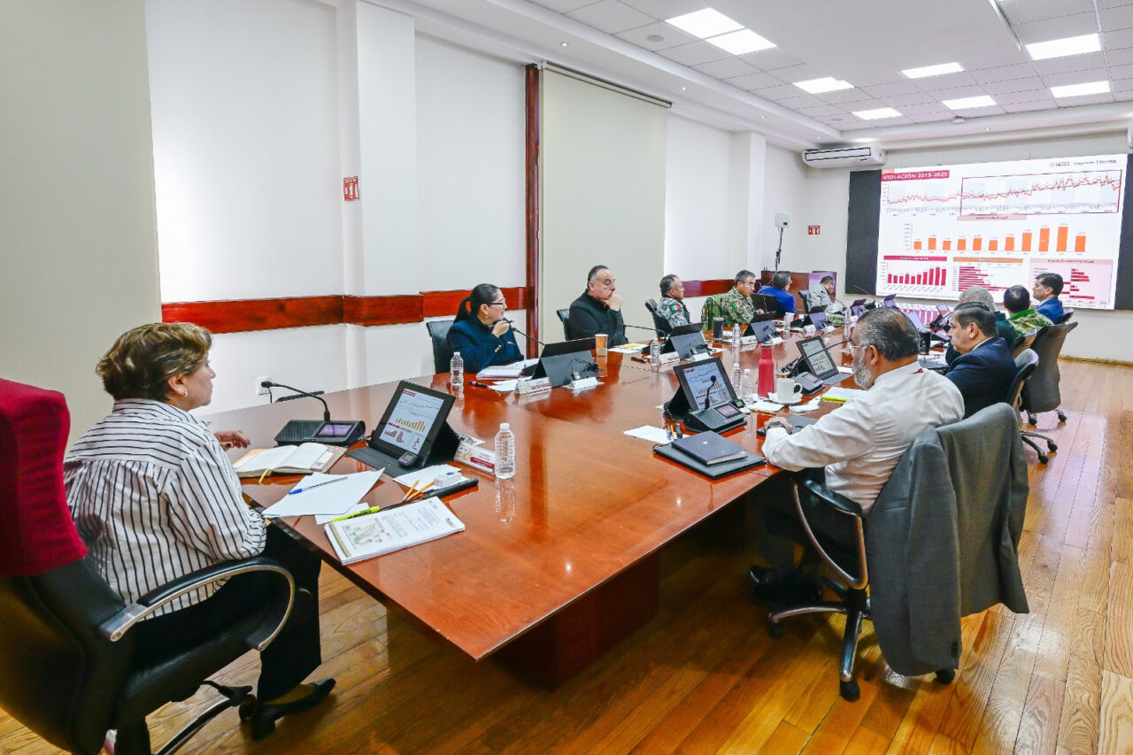 SEGURIDAD 1