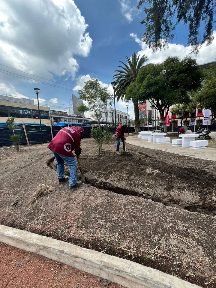 ALFREDO nava 1 ALFREDO nava 1