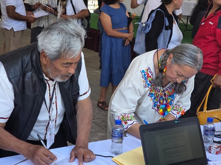 CONSULTA Indígena 3