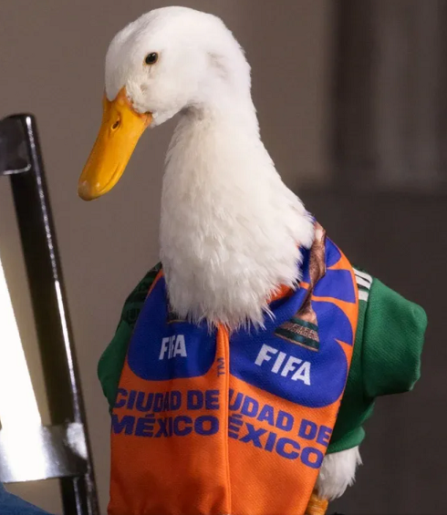 PATO Merlin 02