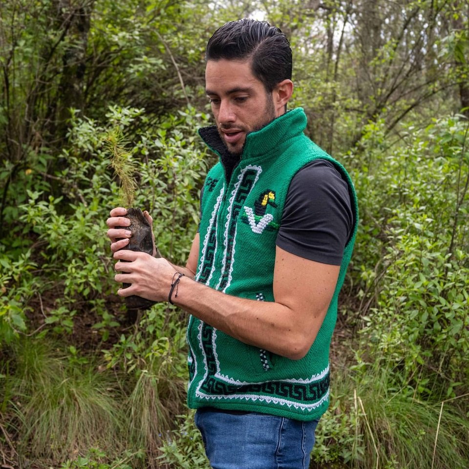 VERDE edomex 03