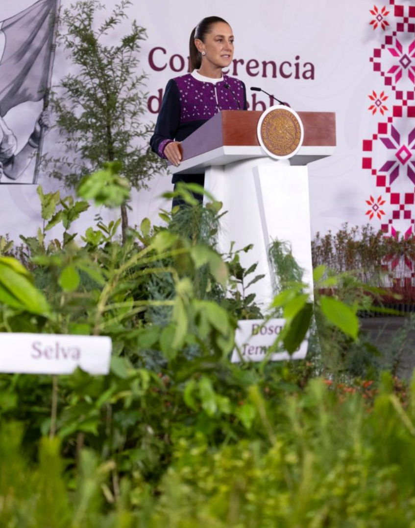 EMILIO 1