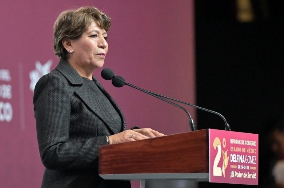 DELFINA informe 01