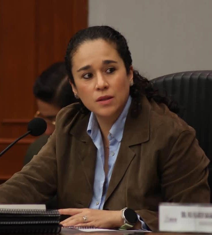 IEEM Alista Reglas Para Garantizar Diputaciones a Mexiquenses en el Extranjero IEEM Alista Reglas Para Garantizar Diputaciones a Mexiquenses en el Extranjero